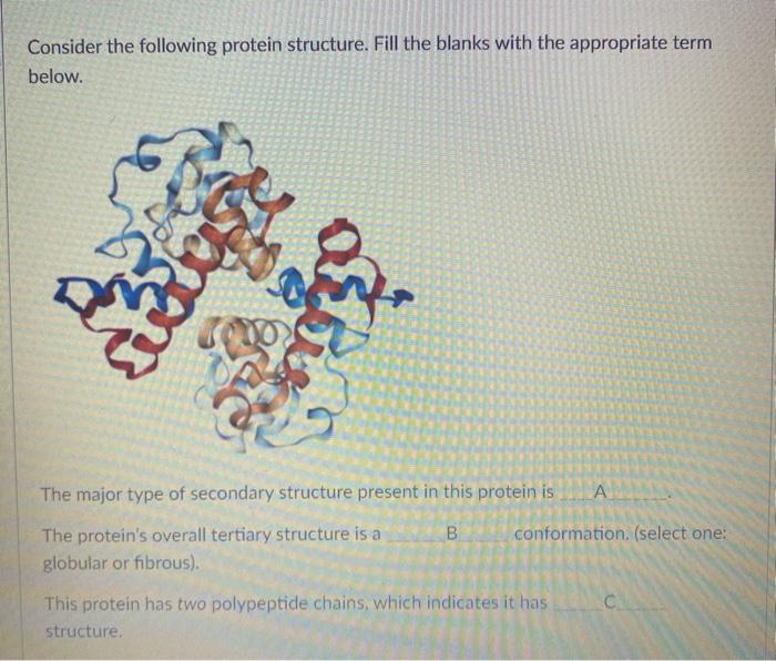 Solved Consider The Following Protein Structure. Fill The | Chegg.com