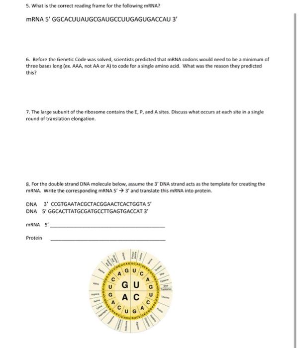 Solved 5 What Is The Correct Reading Frame For The Chegg Com   Image