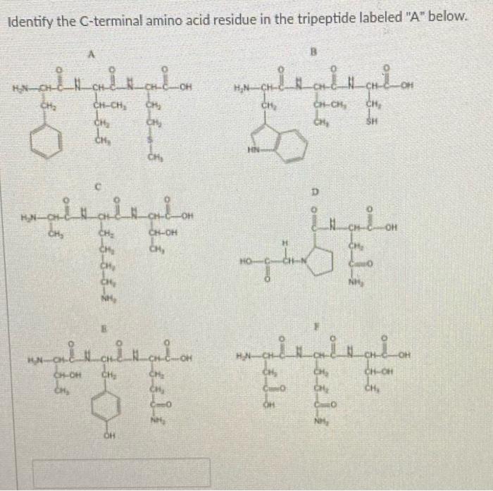 Solved Identify the C-terminal amino acid residue in the | Chegg.com