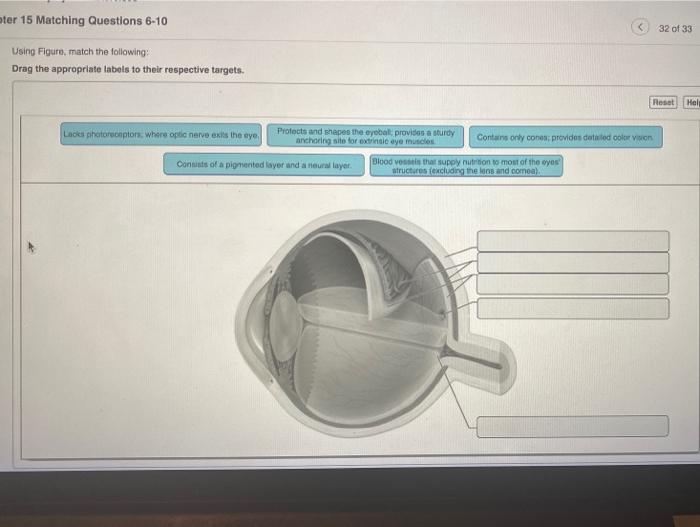 solved-pter-15-matching-questions-6-10-32-of-33-using-chegg