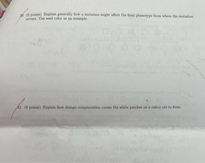 Solved 30. ( 6 points) Explain generally how a mutation | Chegg.com