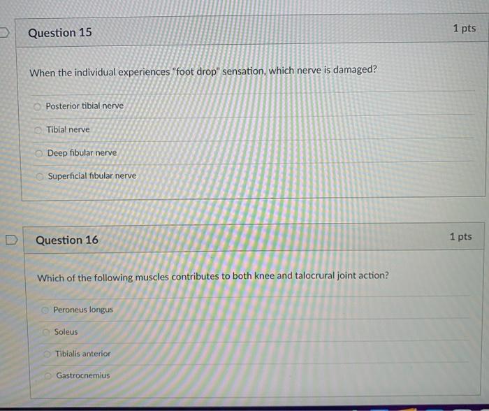 Solved D 1 Pts Question 19 Which Of The Following Muscle 