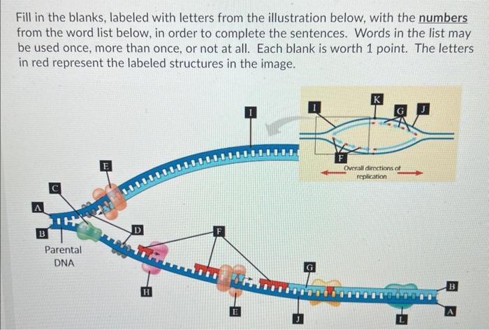 Solved Fill in the blanks, labeled with letters from the | Chegg.com