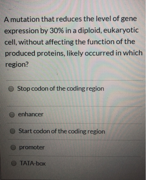 solved-a-mutation-that-reduces-the-level-of-gene-expression-chegg