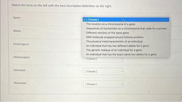 Solved Match the term on the left with the best | Chegg.com