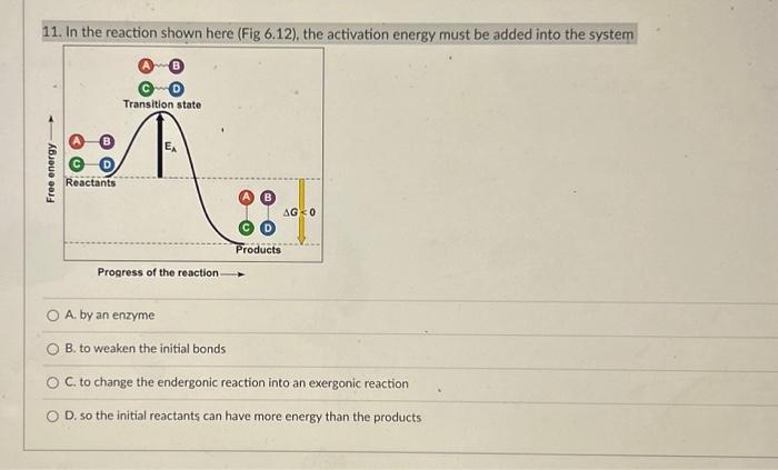 Solved 11. In the reaction shown here (Fig 6.12), the | Chegg.com
