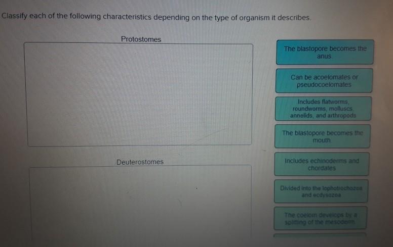 Solved Classify each of the following characteristics | Chegg.com