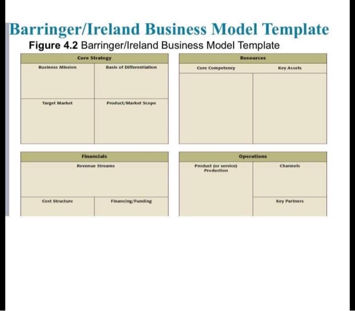 Barringer Ireland Business Model Template