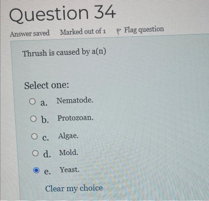 Solved Flag question Table 1 1-Arthroconidium 4-Conidium | Chegg.com