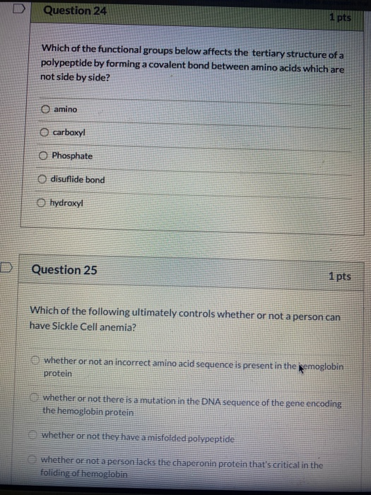 Solved Question 24 1 pts Which of the functional groups | Chegg.com