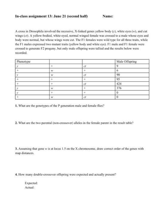 Solved A cross in Drosophila involved the recessive, | Chegg.com