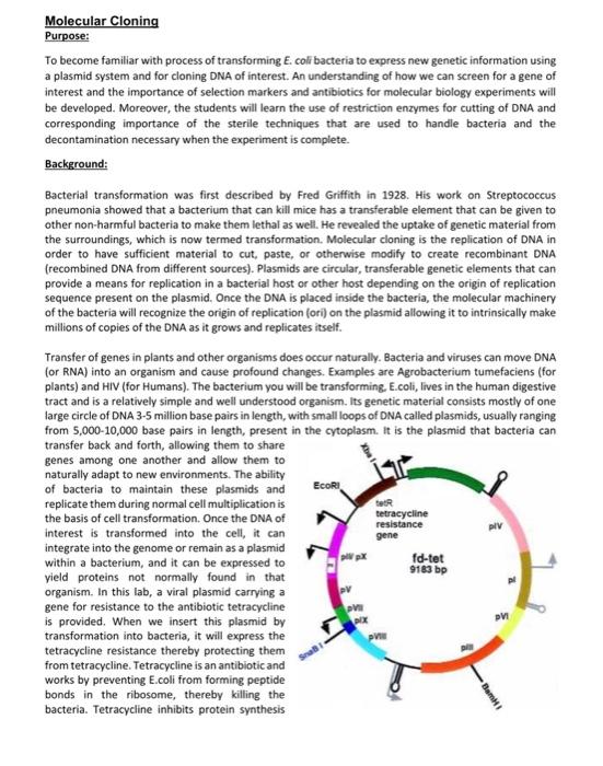 Solved Molecular Cloning Purpose: To become familiar with | Chegg.com