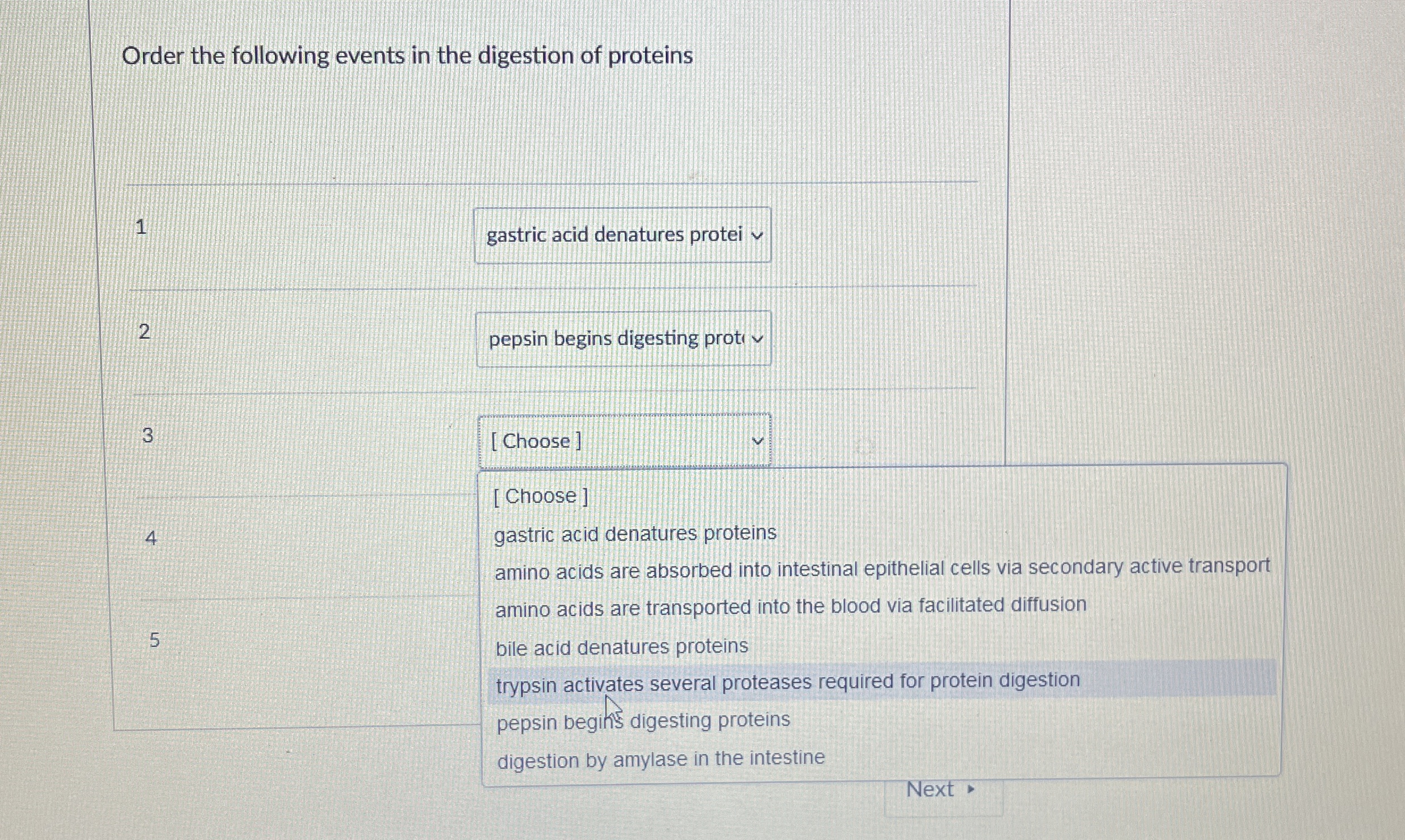 Solved Order the following events in the digestion of | Chegg.com