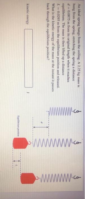 Solved What is the mass m of an object that is attached to a | Chegg.com