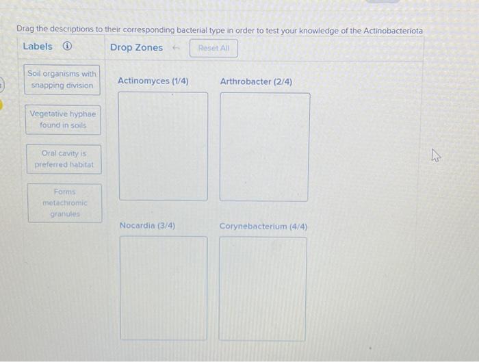 Solved Drag the descriptions to their corresponding