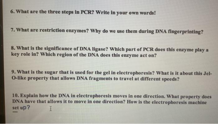 Solved 6. What are the three steps in PCR? Write in your own | Chegg.com