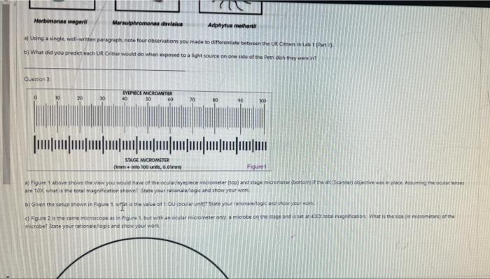 Solved Question 1 a) What is the main difference between | Chegg.com