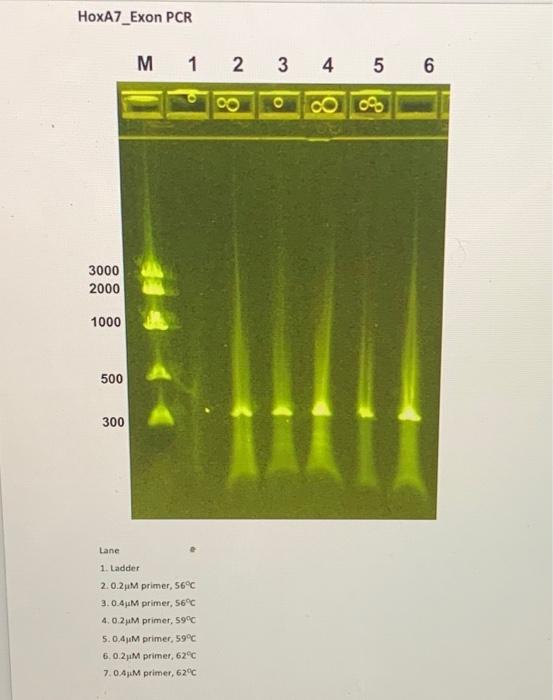 student submitted image, transcription available below