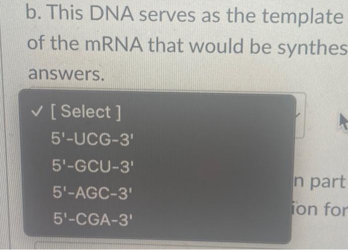 B. This DNA Serves As The Template Of The MRNA That | Chegg.com