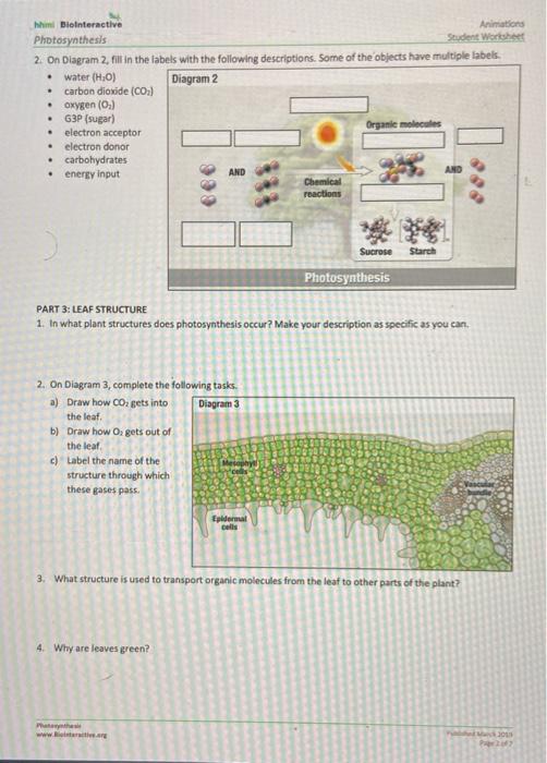 Photosynthesis Diagram Worksheet Structures Of Photosynthesis