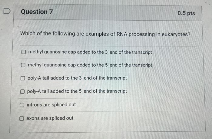 Solved Which of the following are examples of RNA processing | Chegg.com