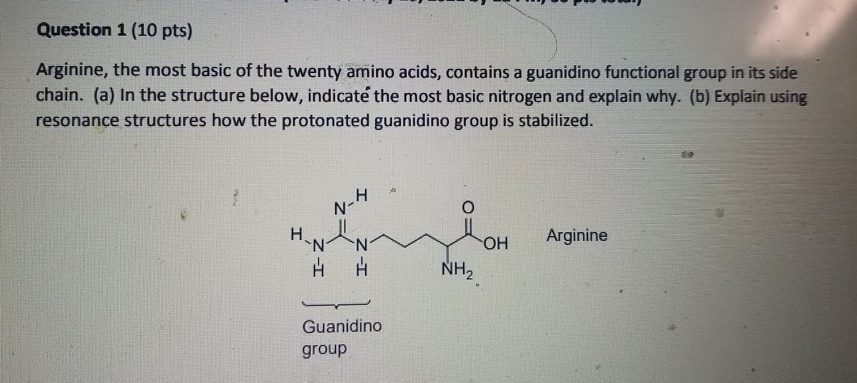 Solved Question 1 10 Pts Arginine The Most Basic Of The Chegg Com