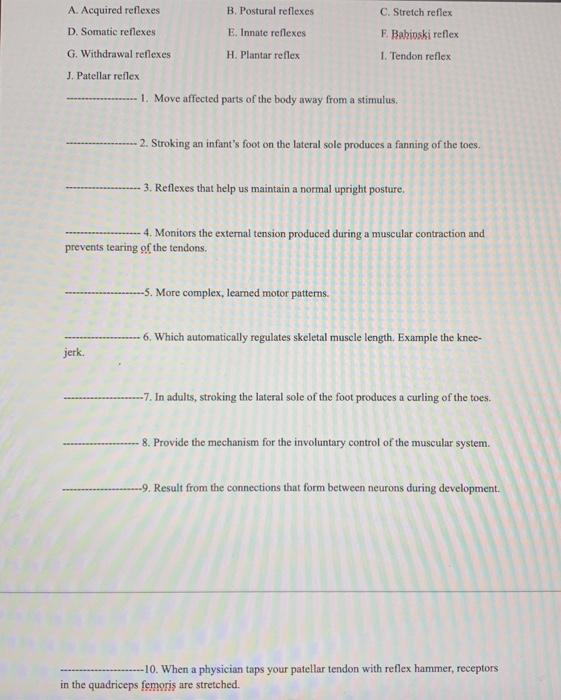 Solved A. Acquired Reflexes B. Postural Reflexes D. Somatie | Chegg.com