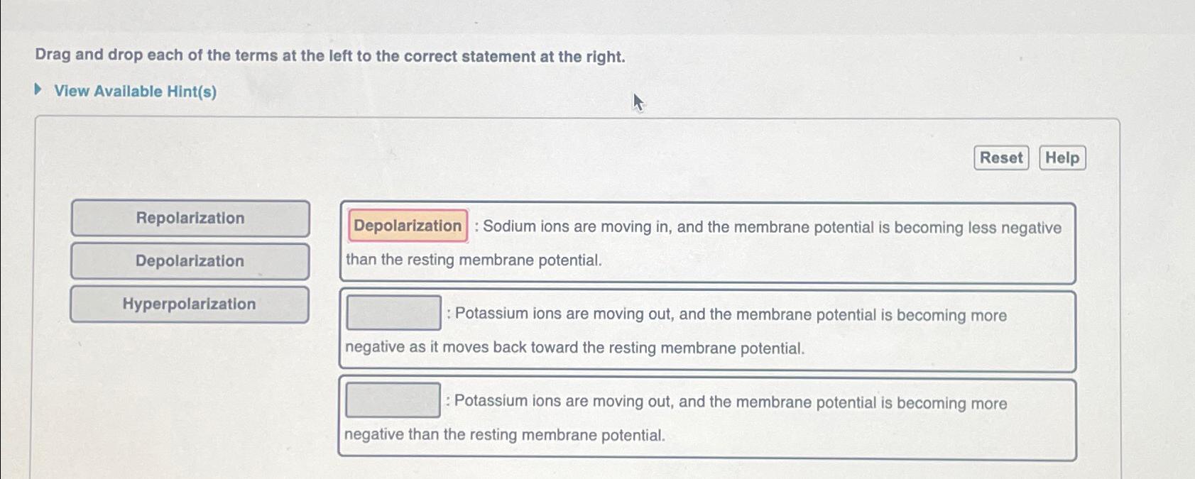 Solved Drag and drop each of the terms at the left to the | Chegg.com
