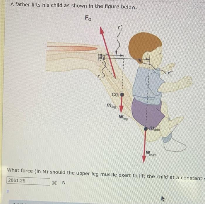 Solved A father lifts his child as shown in the figure
