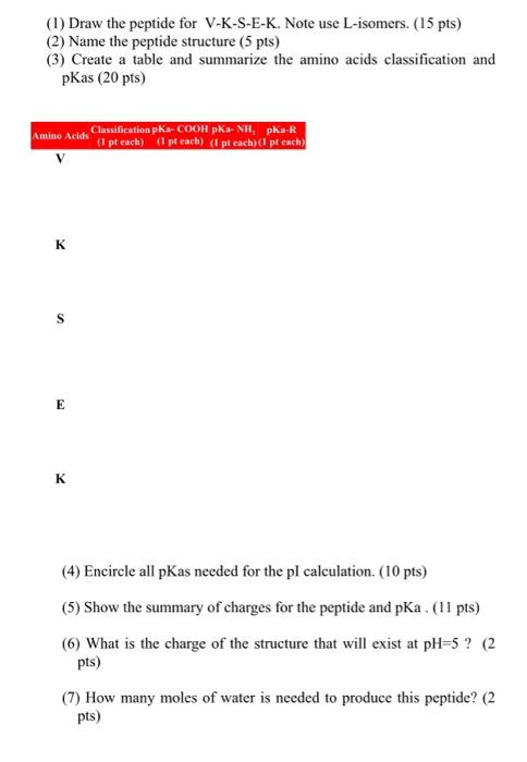 1 Draw The Peptide For V K S E K Note Use Chegg Com