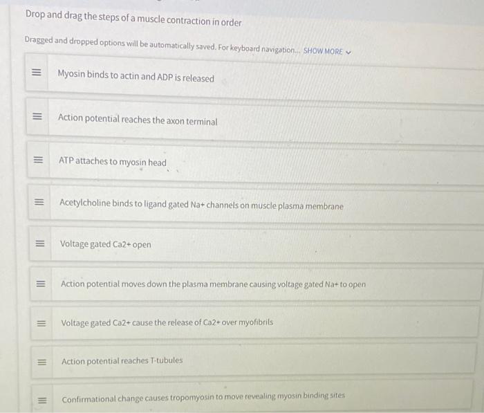 Solved Drop and drag the steps of a muscle contraction in | Chegg.com