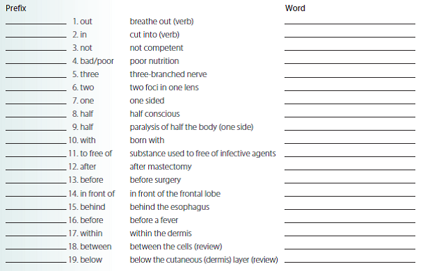 Solved: Write The Prefix That Represents The Direction. Then Build 