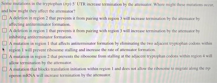 Some mutations in the tryptophan \( (t r p) 5^{\prime} \) UTR increase termination by the attenuator. Where might these mutat