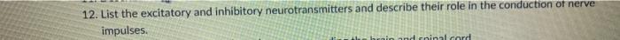 12. List the excitatory and inhibitory neurotransmitters and describe their role in the conduction of nerve impulses dinal co