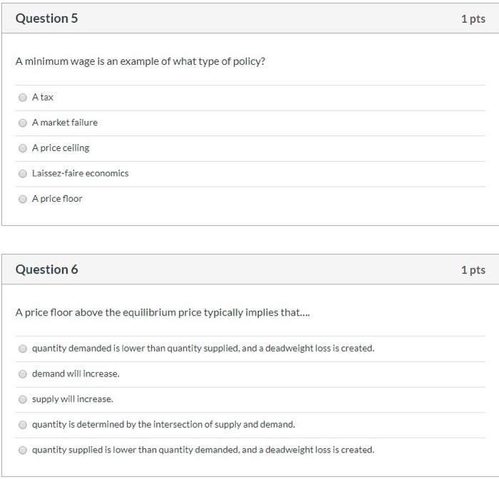 Solved Question 5 1 Pts A Minimum Wage Is An Example Of W