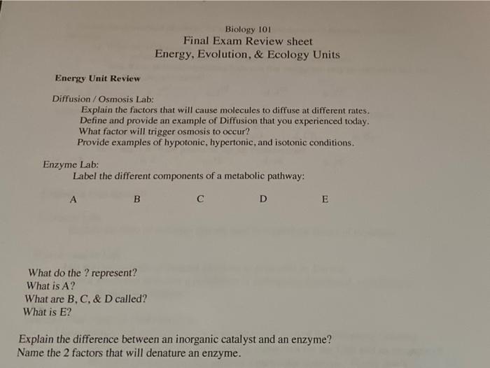 Solved Biology 101 Final Exam Review sheet Energy, | Chegg.com