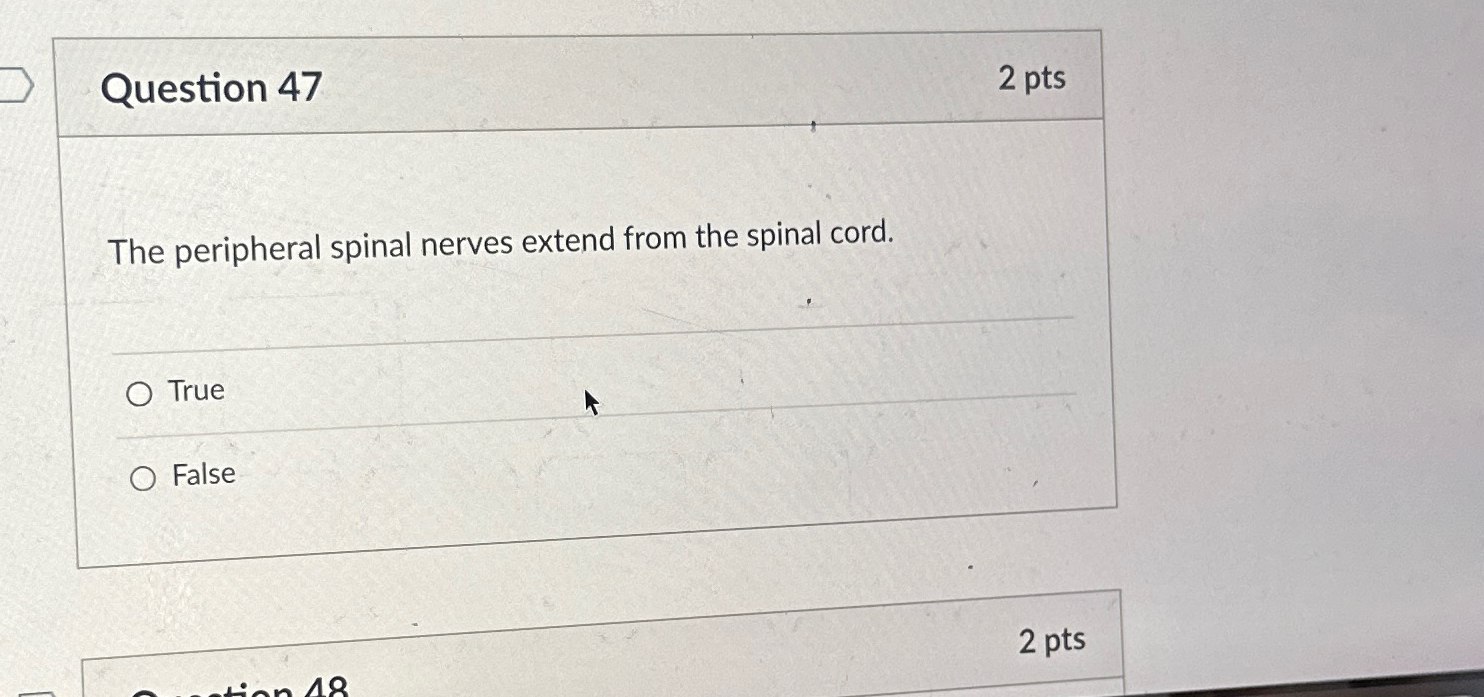 Solved Question Ptsthe Peripheral Spinal Nerves Extend Chegg Com