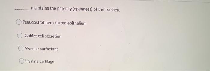 Solved _Maintains The Patency (Openness) Of The Trachea. | Chegg.com