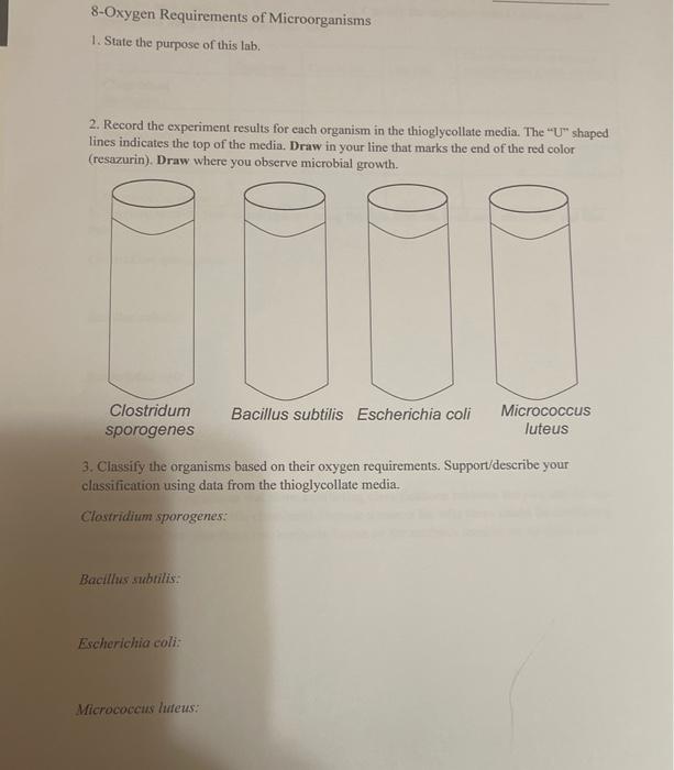 8-Oxygen Requirements of Microorganisms 1. State the | Chegg.com