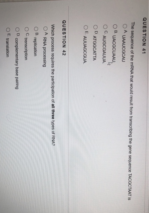 Solved QUESTION 41 The sequence of the mRNA that would | Chegg.com