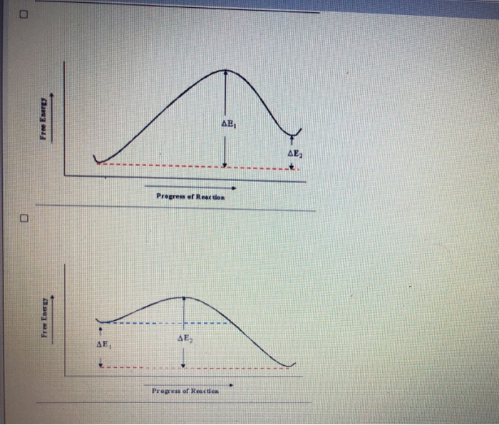 Solved In the reaction coordinate diagram seen below, which | Chegg.com