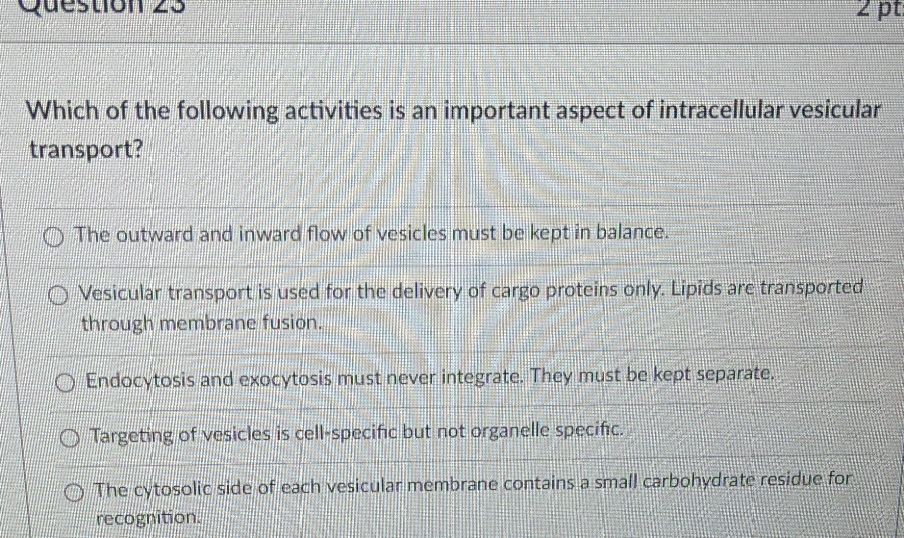Solved 2 pt Which of the following activities is an | Chegg.com