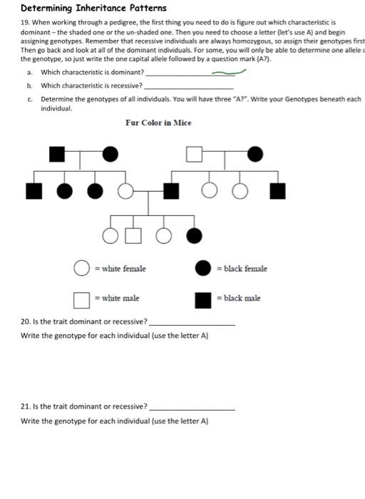 Solved Determining Inheritance Patterns 19. When Working | Chegg.com