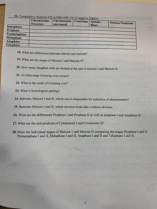 Solved 1. What are the differences between prokaryotes and | Chegg.com