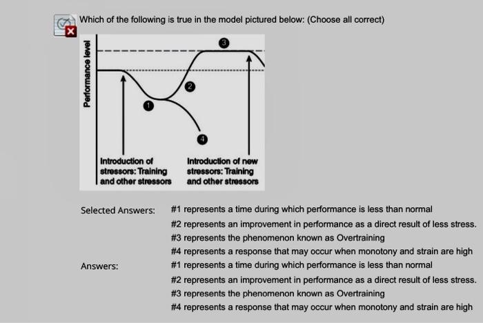 Which of the following is true in the model pictured below: (Choose all correct)
Selected Answers: \#1 represents a time duri