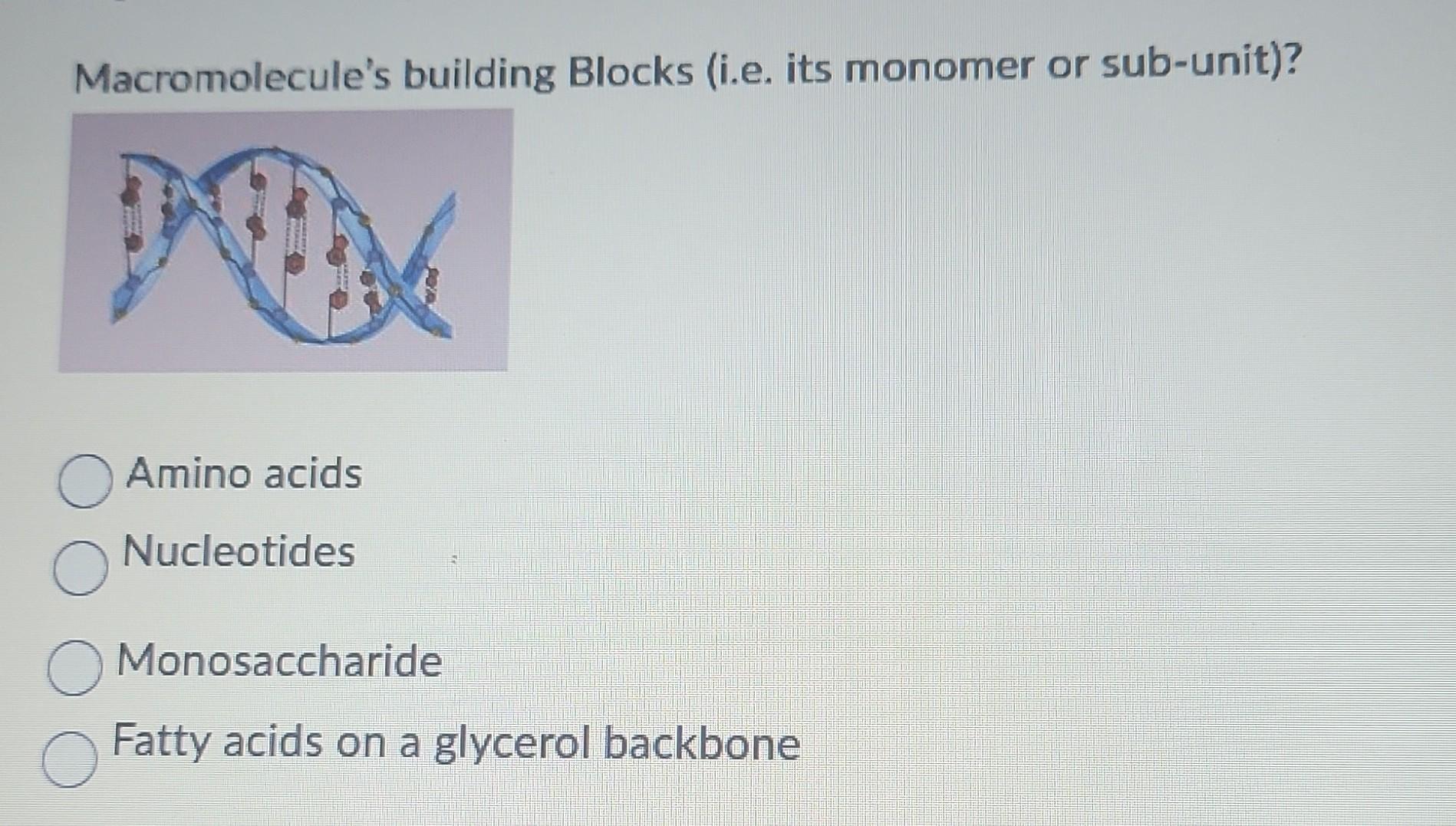 Solved Macromolecule's building Blocks (i.e. its monomer or