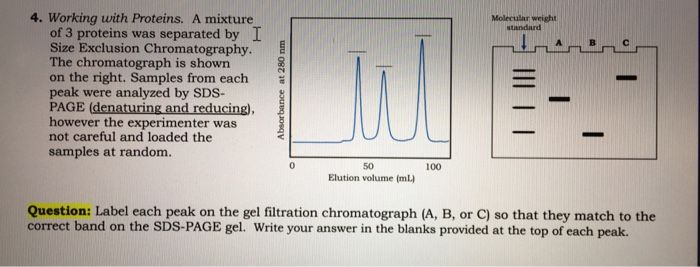 What Are The Molecular Weights Of The Following Compounds Naoh