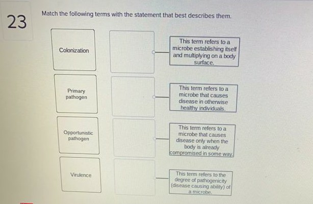 Solved Label the stages that characterize progression of | Chegg.com