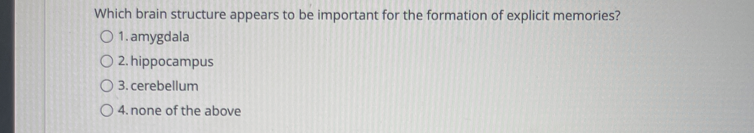 Solved Which brain structure appears to be important for the | Chegg.com