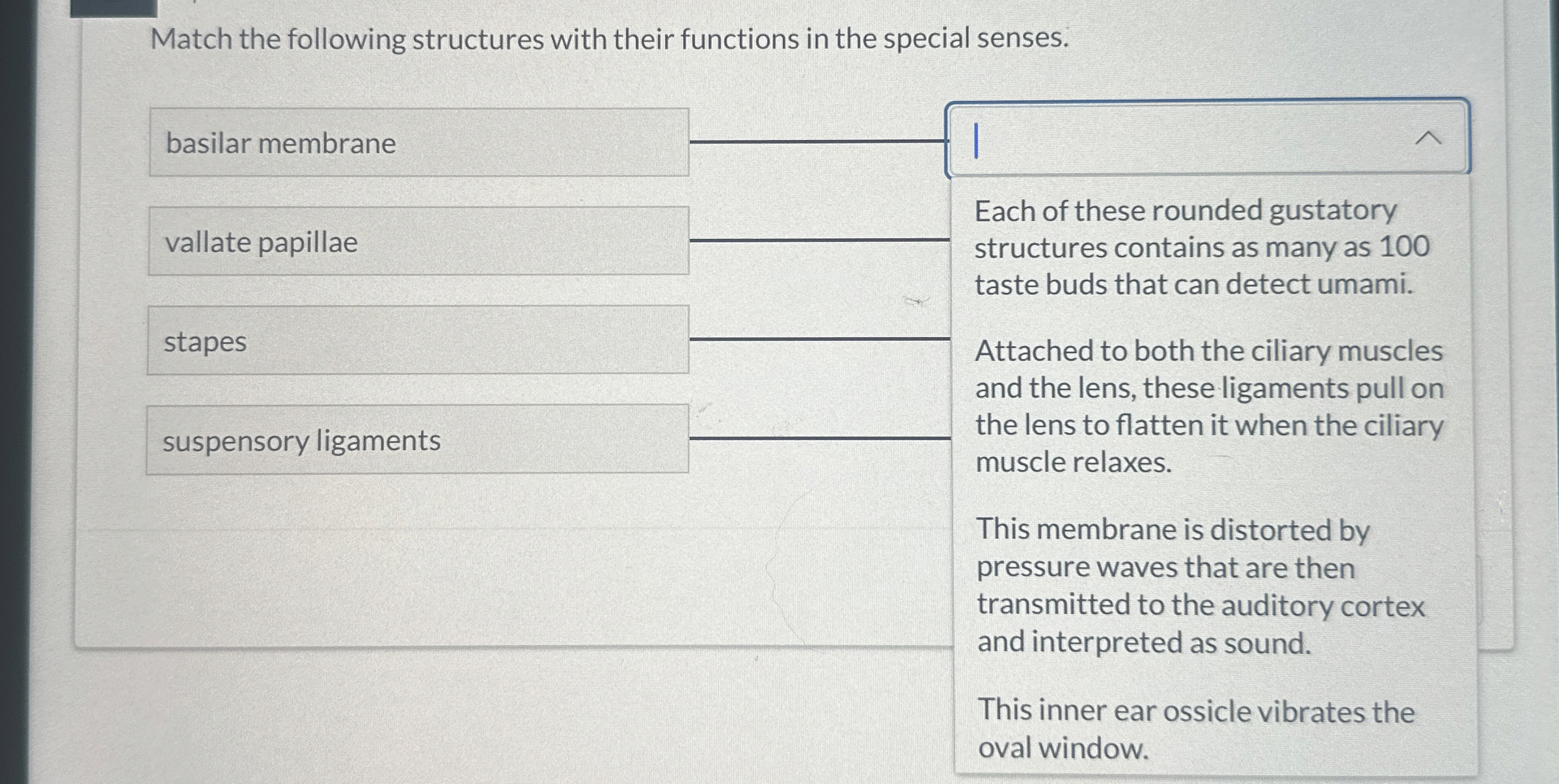 Solved Match the following structures with their functions | Chegg.com